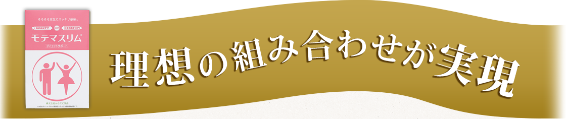 贅沢な組み合わせが実現